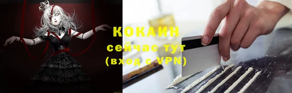 крисы Краснослободск