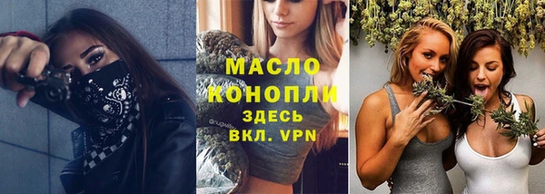 крисы Краснослободск