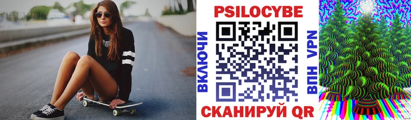 Псилоцибиновые грибы Psilocybe  Купить закладки  Барыш 
